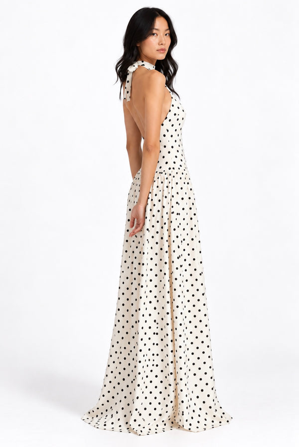 The Amélie Polka Dot Maxi Dress by Ciar – back